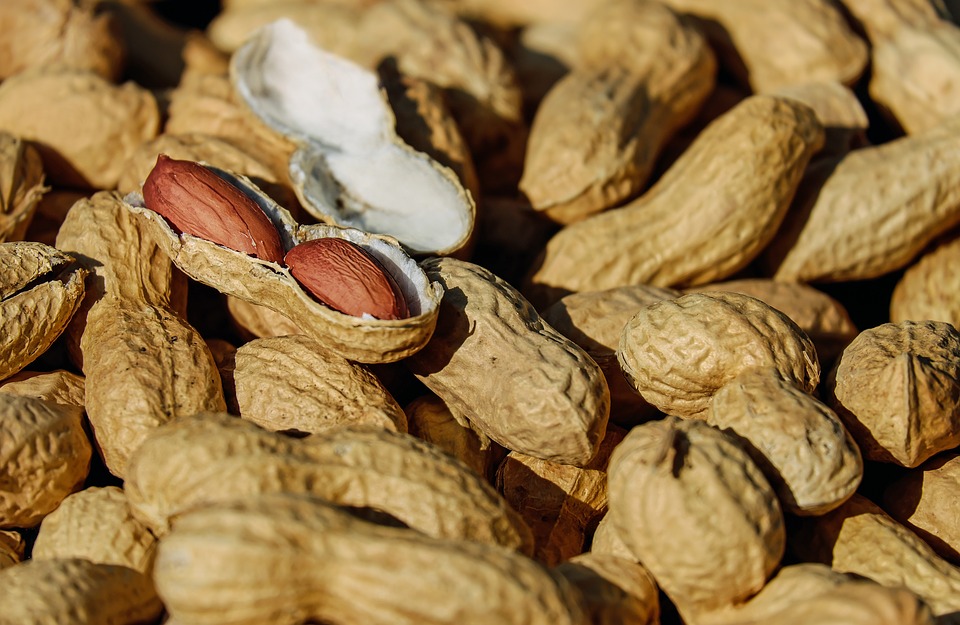 Россельхознадзор снимает запрет на поставки арахиса из США в Россию