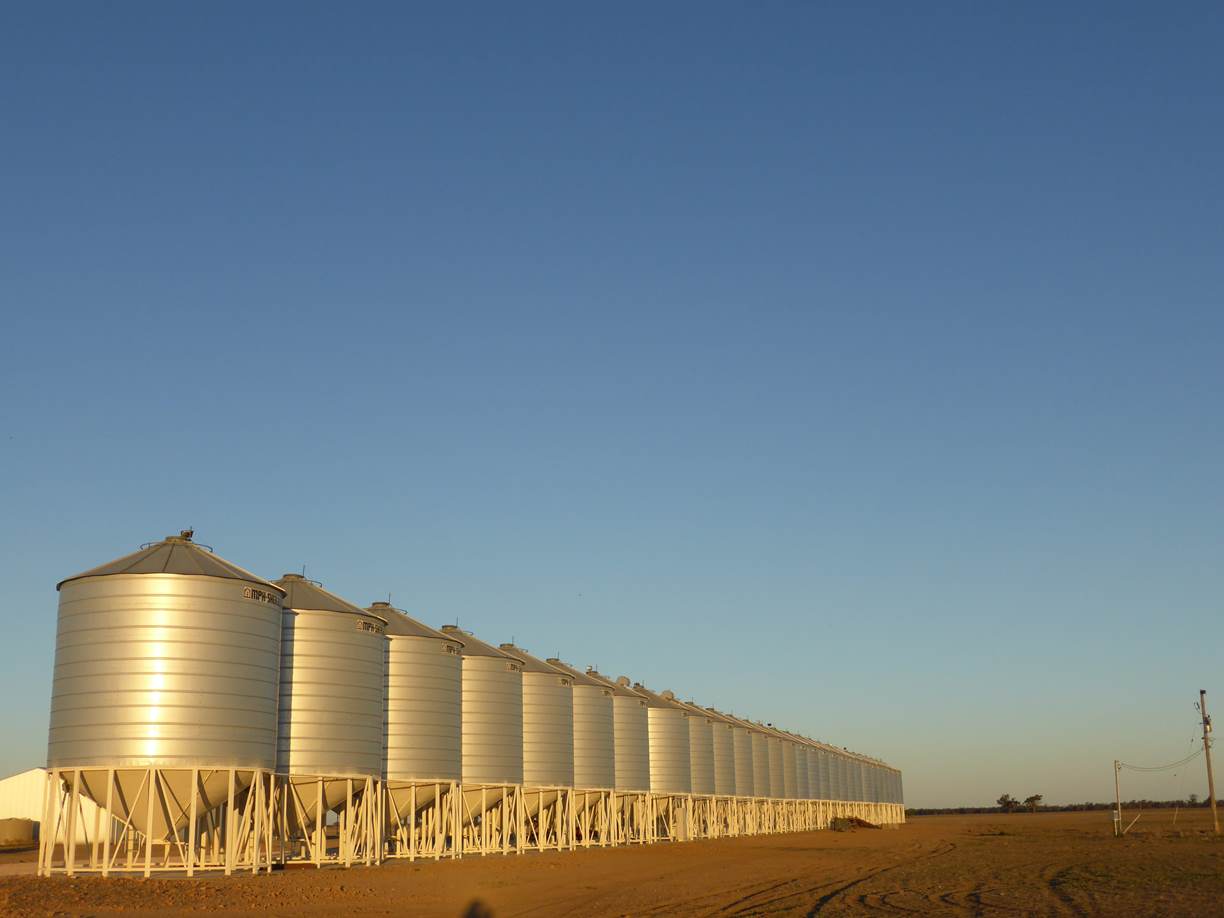 На экспорт зерна из России могут установить квоту в 20 млн. тонн