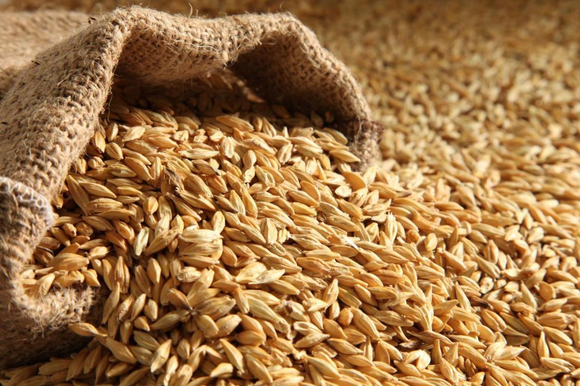 Правительство одобрило экспортные квоты на зерно в размере 7 млн. тонн