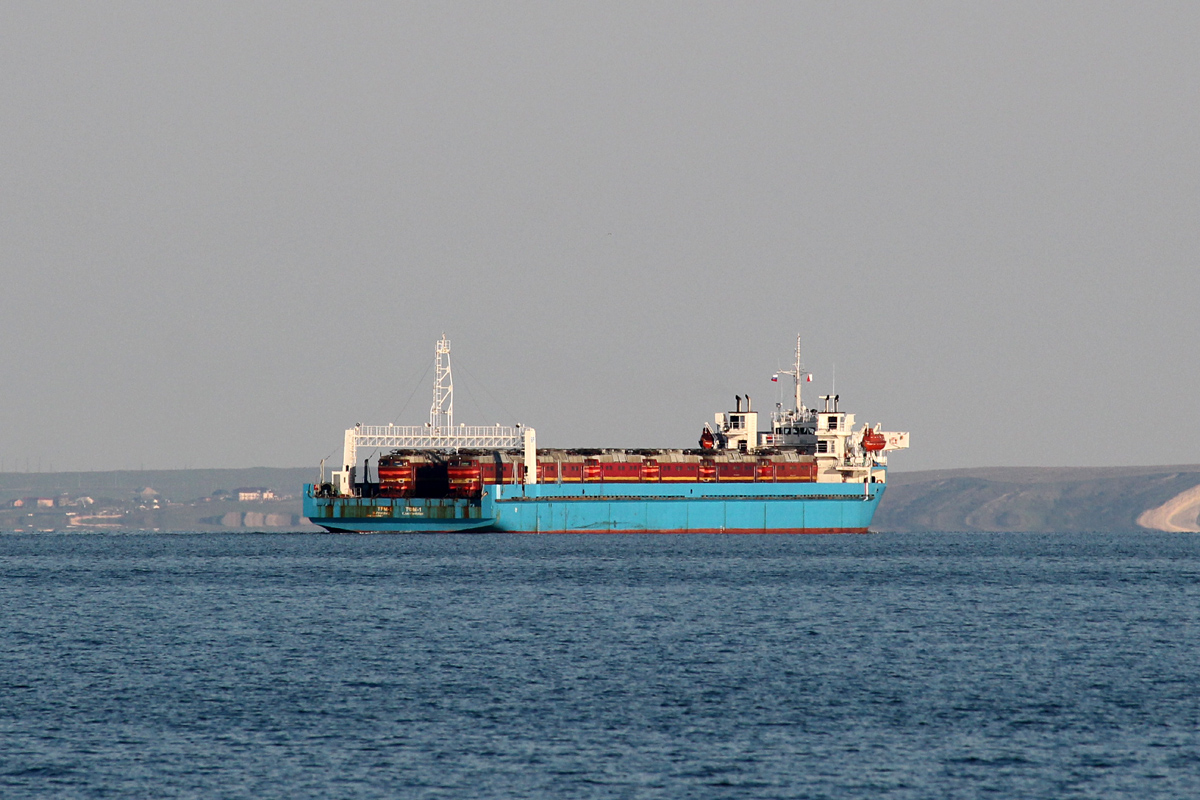 Крым и Сирия создадут совместную судоходную компанию