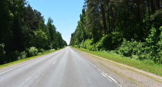 В Московской области построят дорогу между трассой М-12 и Ярославским шоссе