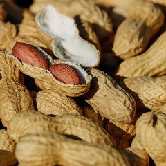 Россельхознадзор снимает запрет на поставки арахиса из США в Россию