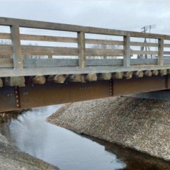 В Архангельской области открыли уникальный для России мост