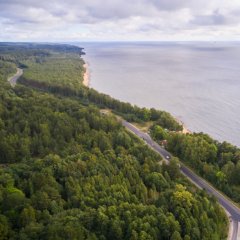 Приморское шоссе в Ленобласти полностью приведут к нормативу