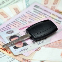 Водительские права, паспорта и другие документы будут автоматически продлены на три месяца