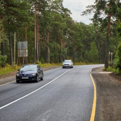 В Ленинградской области весенние ограничения разделили на два этапа