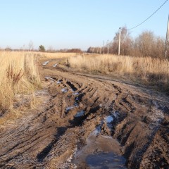 В Костромской области тоже объявили сроки весенних ограничений