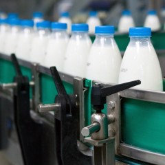Стали известны предположительные сроки маркировки молочной продукции