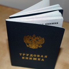 Государственная Дума приняла в первом чтении законопроект об электронных трудовых книжках
