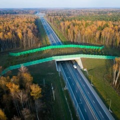 В России утвердили первый ГОСТ по строительству экодуков