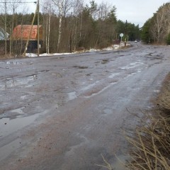 Весенние ограничения в Ленинградской области вступят в силу с 1 апреля