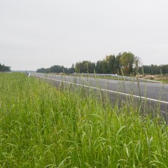 На трассе А-180 «Нарва» в Ленинградской области ограничат движение