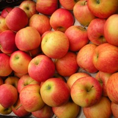 С 24 июля в Россию снова можно поставлять белорусские яблоки