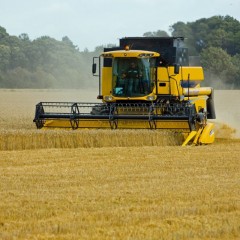 Правительство утвердило формулу расчета гибкой пошлины на экспорт зерна
