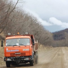 В Приморском крае весенние ограничения начнут действовать с 15 апреля